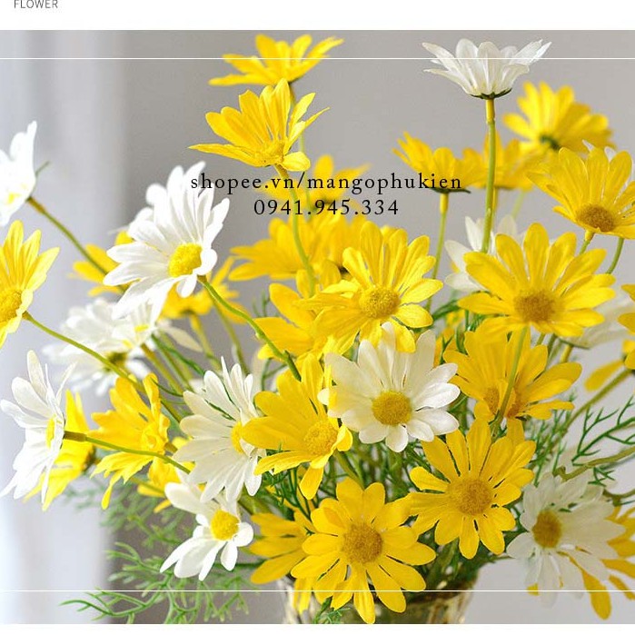 Cành hoa cúc hoạ my xinh xắn