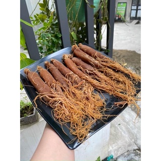 100gr Nhân sâm bồi bổ cơ thể (1 Lạng 4-5 củ)