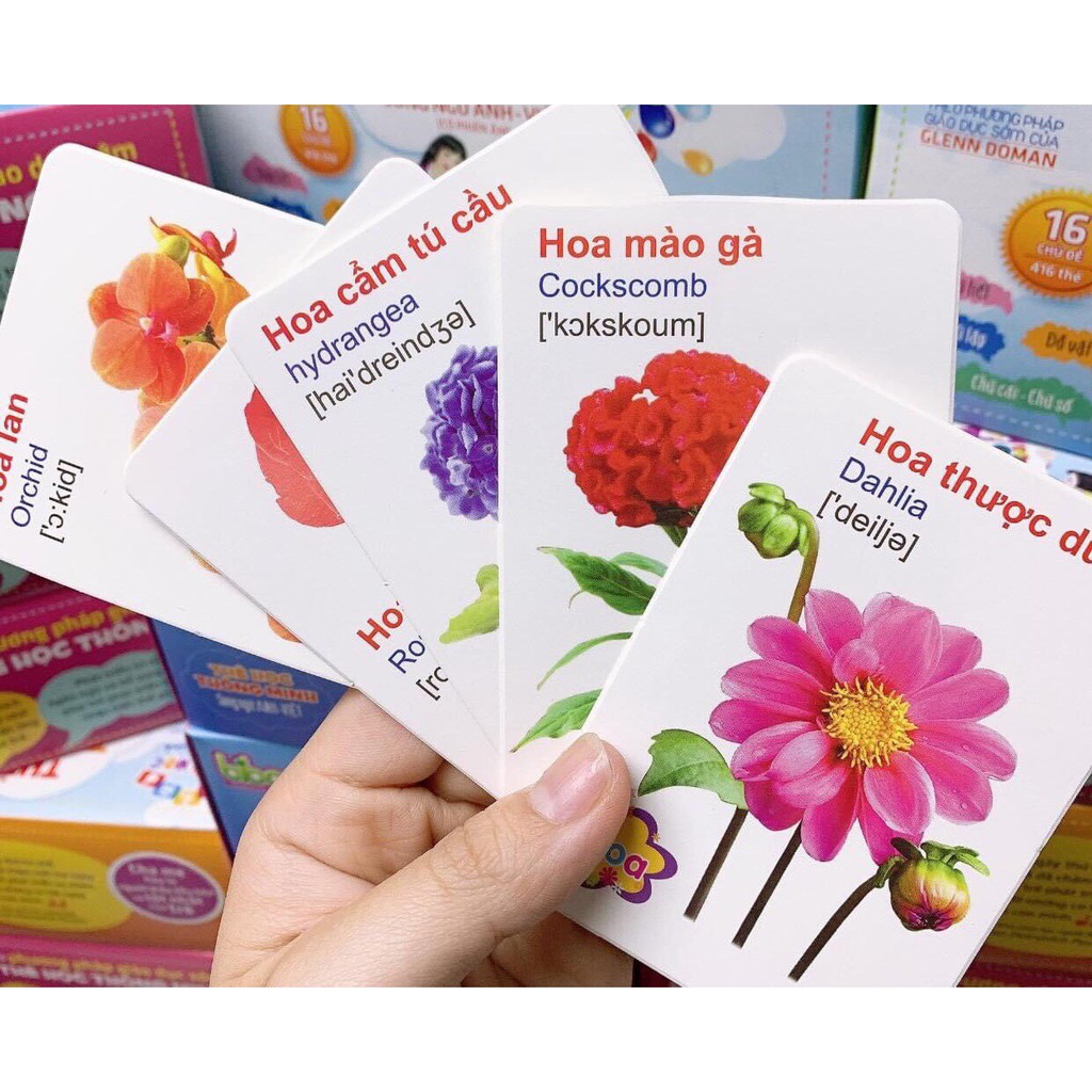 THẺ HỌC THÔNG MINH 416 THẺ FLASH CARD (16 CHỦ ĐỀ) SONG NGỮ CHO BÉ