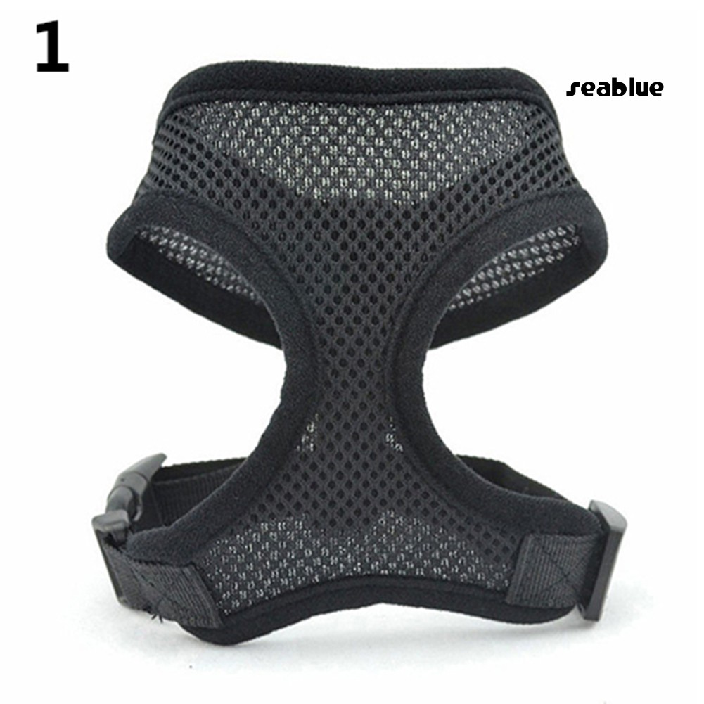 Dây Đeo An Toàn Cho Thú Cưng