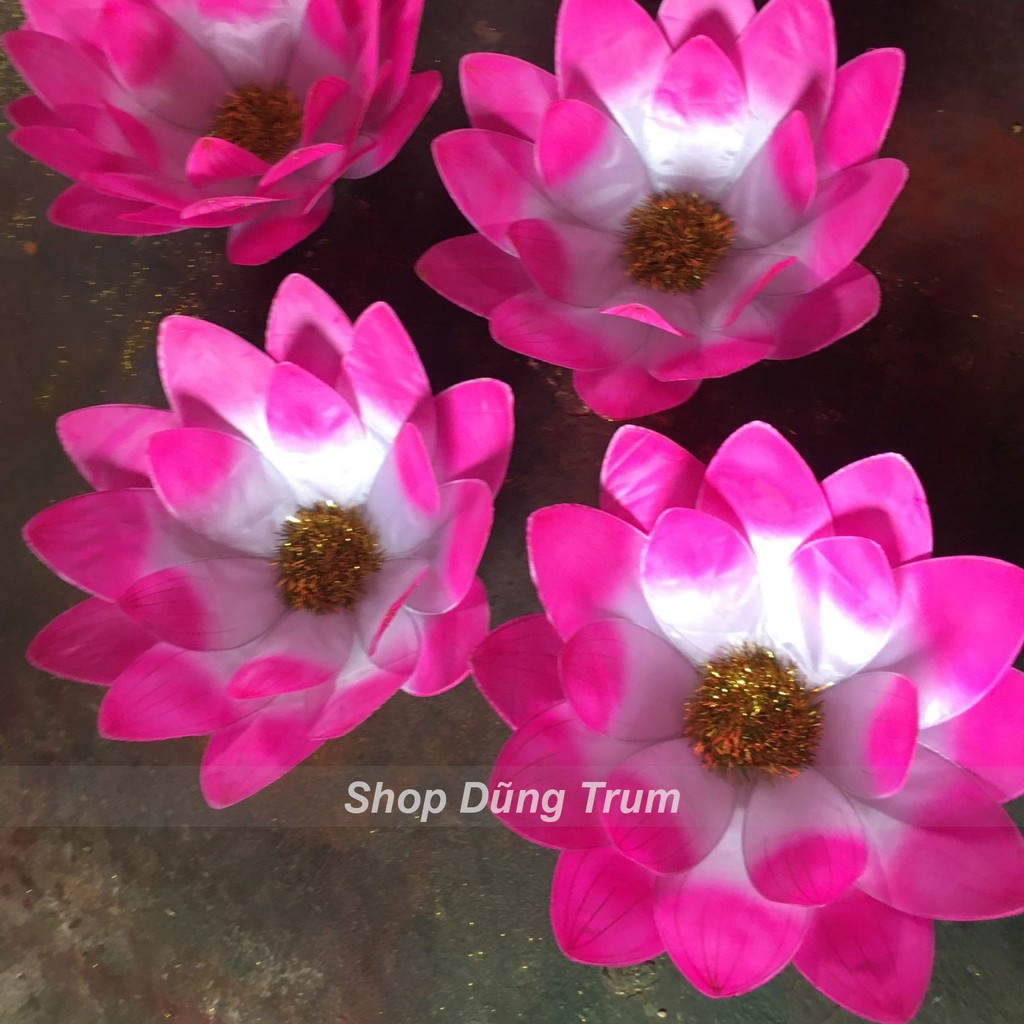 Hoa múa văn nghệ múa dưỡng sinh, hoa biểu diễn cầm tay mẫu 60cm 18 cánh siêu đẹp