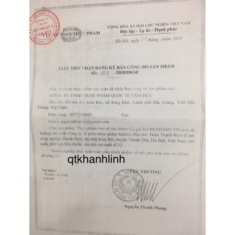 ✅ Cà gai leo Bestgan TD, giải độc gan, hạ men gan, tăng cường chức năng gan.