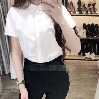 Áo sơ mi cổ đức cộc tay