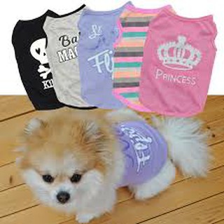 Áo cho thú cưng - suemaishop