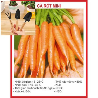 Hạt giống Cà Rốt Mini 0.1Gram TẶNG BỘ LÀM VƯƠN MINI