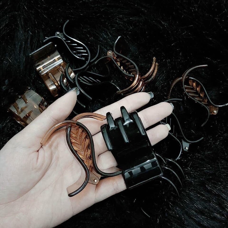 Set 12 kẹp càng cua 3 răng