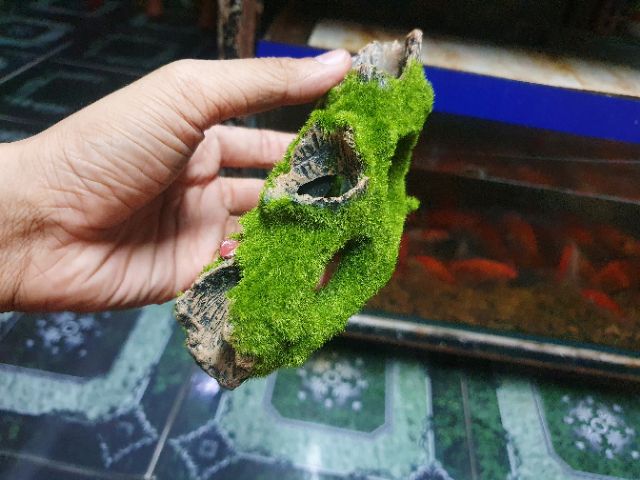 CÂY LỦA GIẢ PHỦ RÊU TRANG TRÍ HỒ CÁ NON BỘ 14X5X6CM