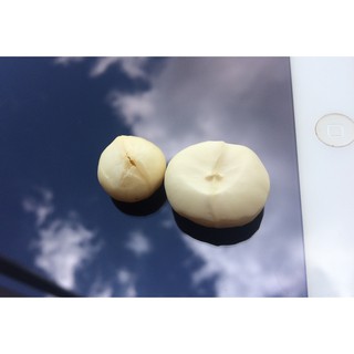 500G Hạt MACCA Úc size KHỔNG LỒ