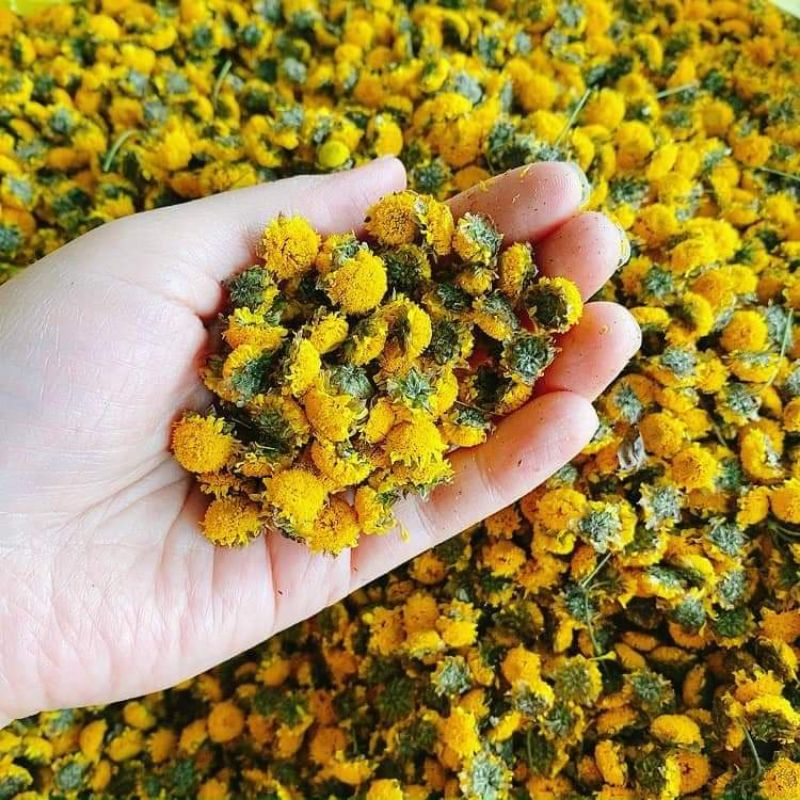 TRÀ HOA CÚC CHI SẤY LẠNH 100G sạch thơm