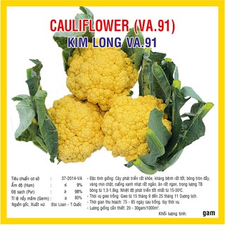 Hạt giống súp lơ vàng Kim Long (VA.91) – 10 gram
