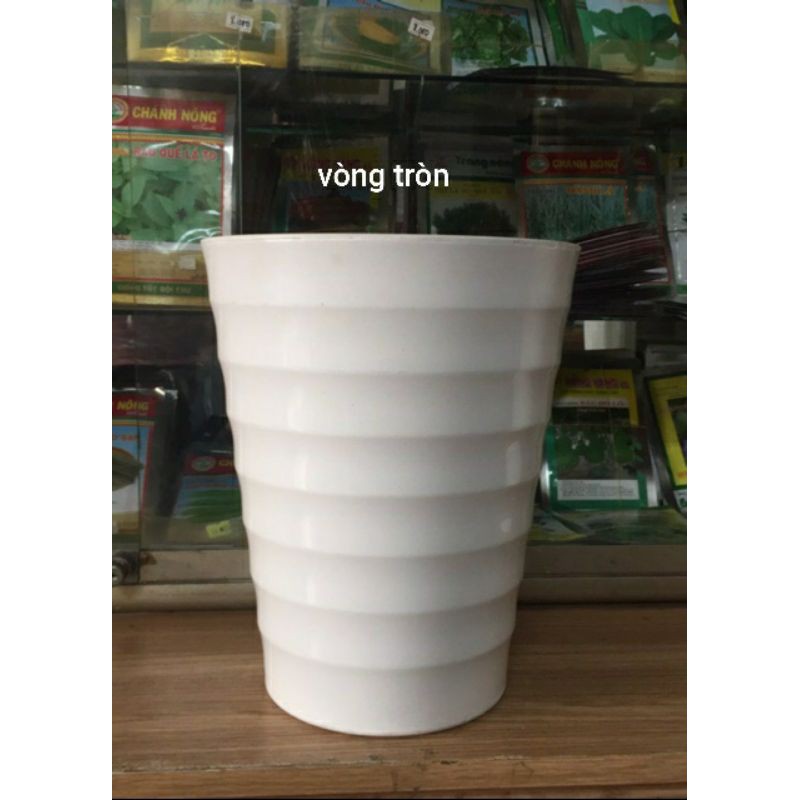 Chậu trồng hoa siêu đẹp