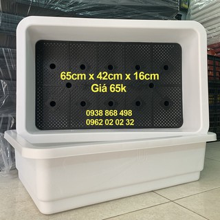 COMBO 5 KHAY NHỰA TRỒNG RAU SẠCH MÀU TRẮNG 65 X 42 X16CM