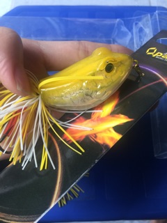 Mồi câu lure