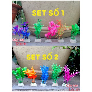 (Chọn ngẫu nhiên) Bộ 5 Cây Trang Trí Bể Cá Size Mini (Khoảng 12cm x 5cm Mỗi Cây) - Đồ Trang Trí Hồ Cá