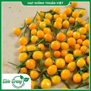 Hạt giống ớt charapita peru siêu cay