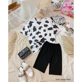 SET BÒ SỮA, ÁO BÒ SỮA + QUẦN LEGGING LỬNG