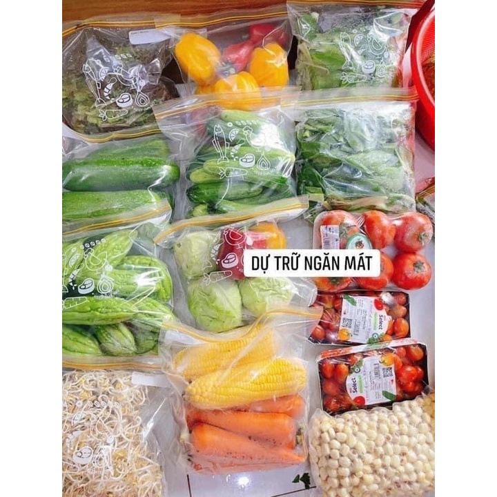 Combo 3 hộp túi Zip đựng thực phẩm Nhật Bản Size S M L