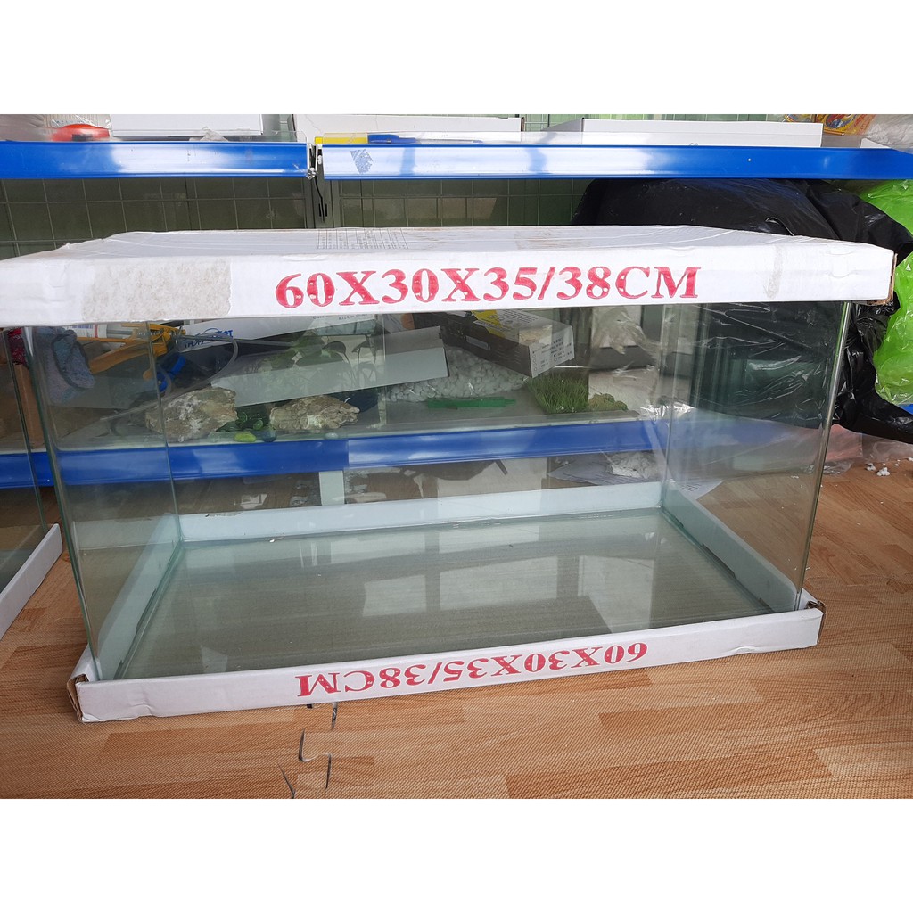 Bể cá mini kính đúc 60x30x35 cm, hồ cá cảnh thủy sinh để bàn