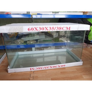 Bể cá mini kính đúc 60x30x35 cm, hồ cá cảnh thủy sinh để bàn