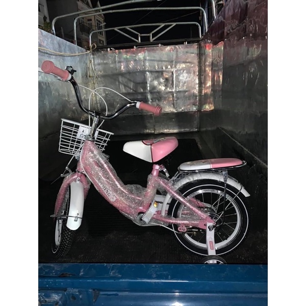 xe đạp xaming nữ siêu vip đẹp full inox xịn xò