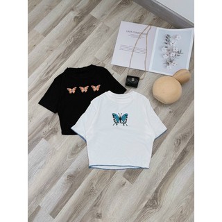 crooptopvề 2 màu đẹp nhé