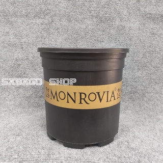 Chậu nhựa Monrovia 2 Galon Hàng VN