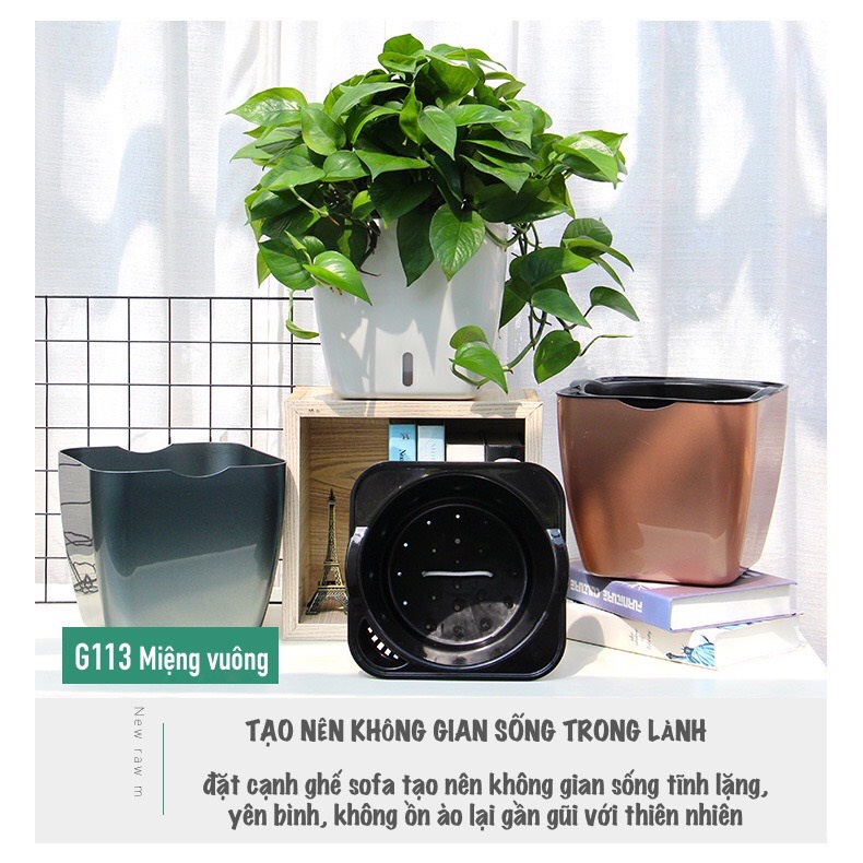 Chậu trồng cây thông minh Oliz-G113, tự tưới nước mẫu mới nhất
