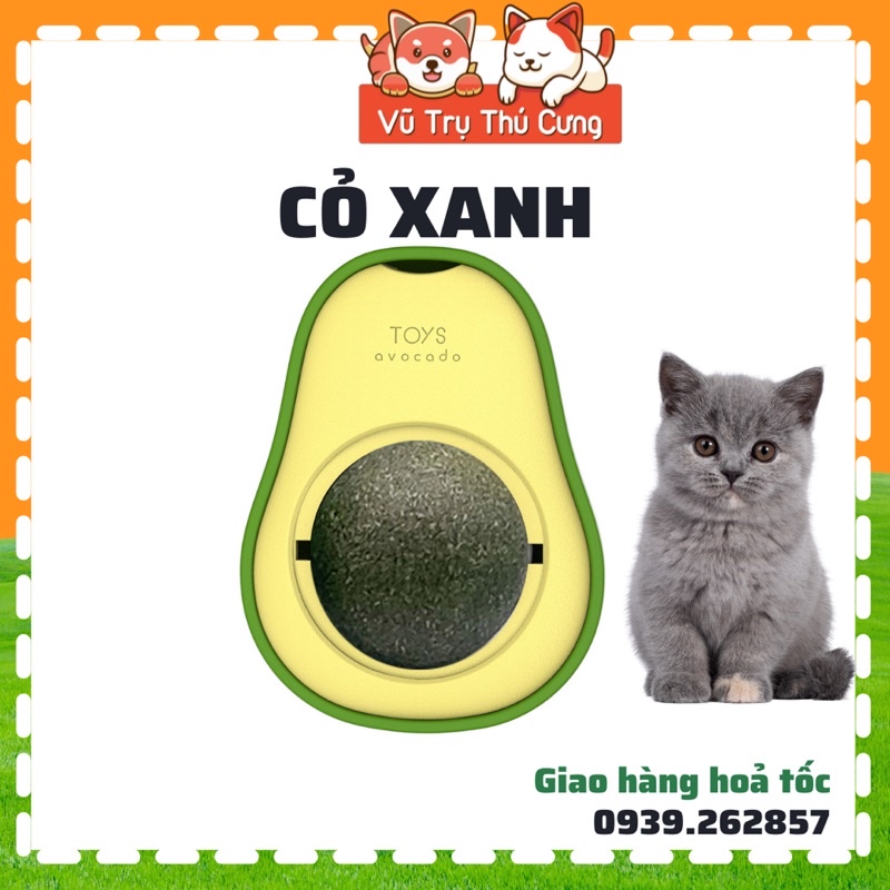 Kẹo cỏ mèo tiêu búi lông, giải toả căng thẳng, Đồ chơi cho mèo canip