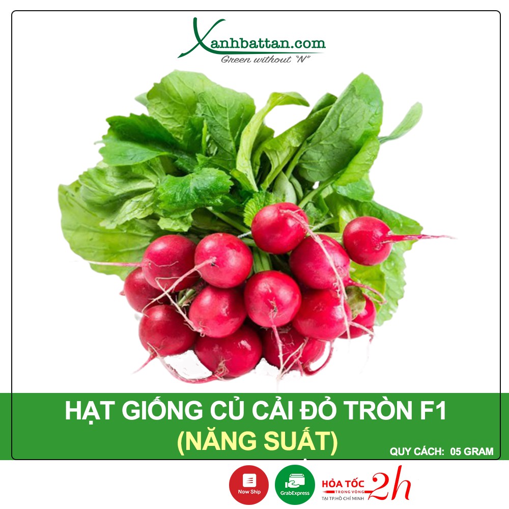 Hạt Giống Củ Cải Đỏ Tròn Phú Nông Gói 5 Gram