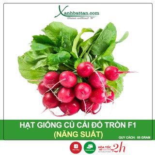 Hạt Giống Củ Cải Đỏ Tròn Phú Nông Gói 5 Gram