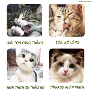 Cỏ mèo Capnit bạc hà cho mèo