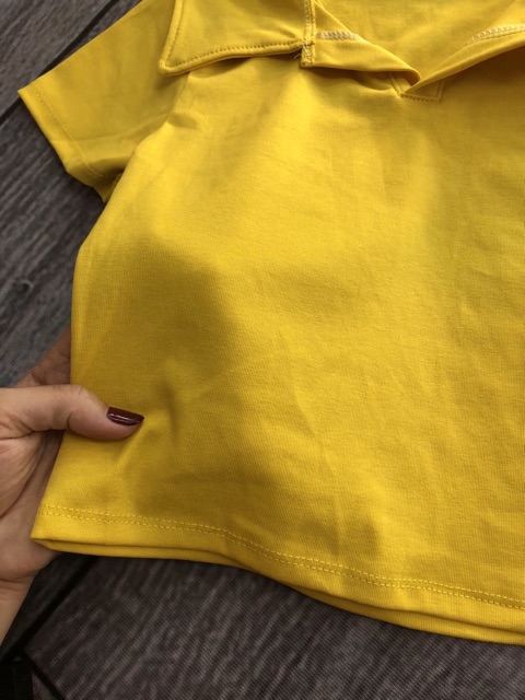 Áo Croptop kiểu nữ CÓ CỔ POLO trơn cổ bẻ hàng cao cấp By bear.story