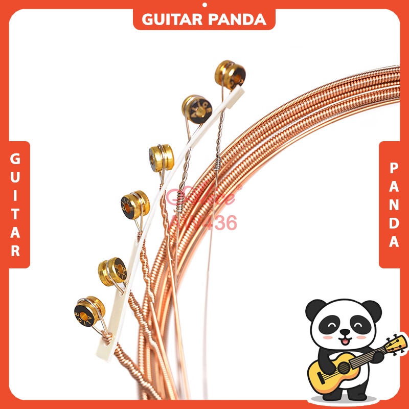 [Chính Hãng] Dây Đàn Guitar Acoustic Alice AW436 Cao Cấp GUITAR PANDA