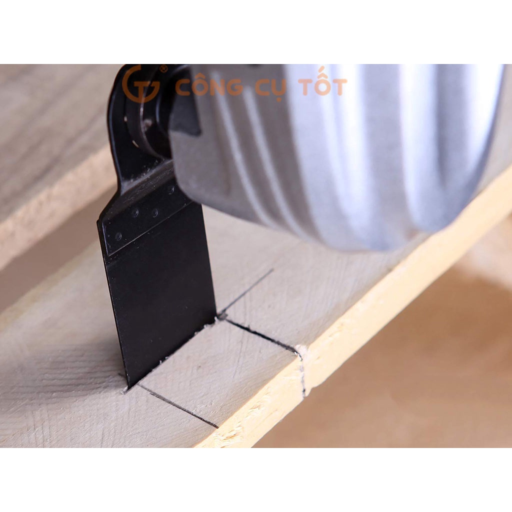 Lưỡi cắt rung cắt gỗ khóa sao 20mm