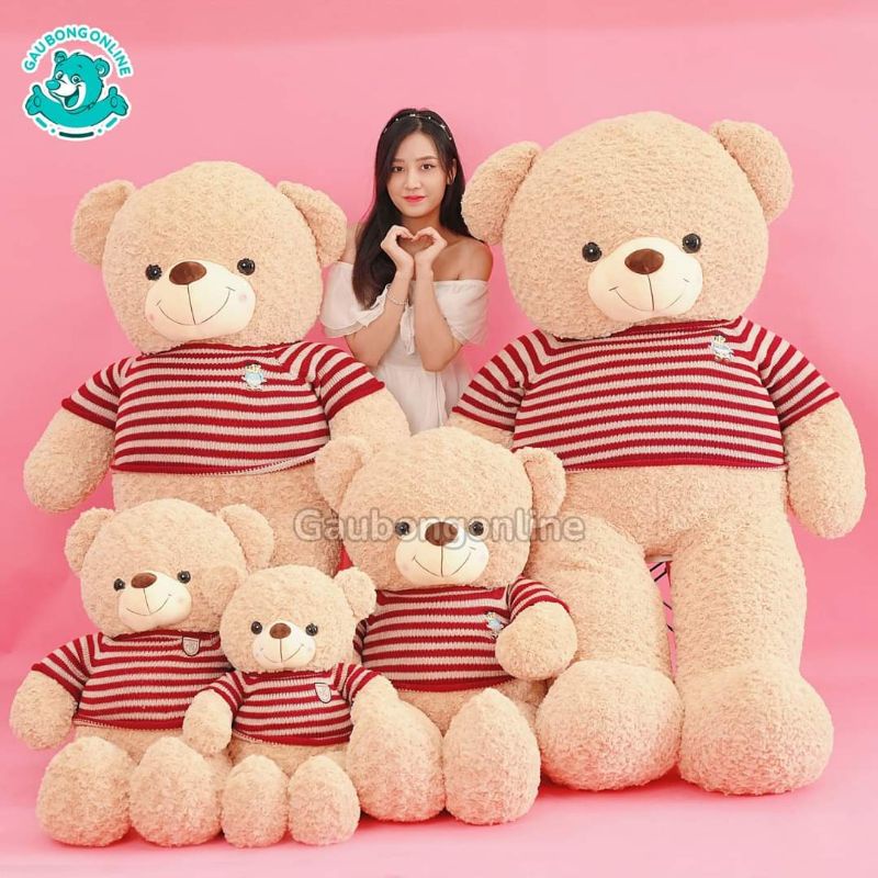 [Bán Chạy] Gấu bông cao cấp ❤️ Teddy socola kem ❤️ lông xoắn hoa hồng mịn FREESHIP FREE GÓI QUÀ