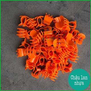 kẹp bướm lan 50 cái ( loại đại)