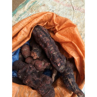 Hà Thủ Ô đỏ 1kg - nhitri2224