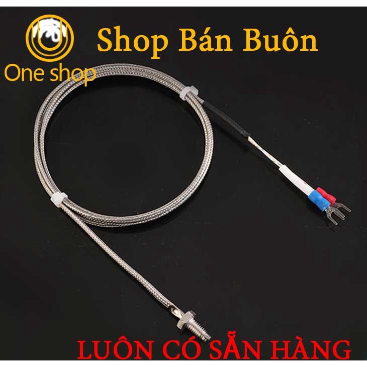 Đầu Dò Nhiệt Độ WRX-31 M6