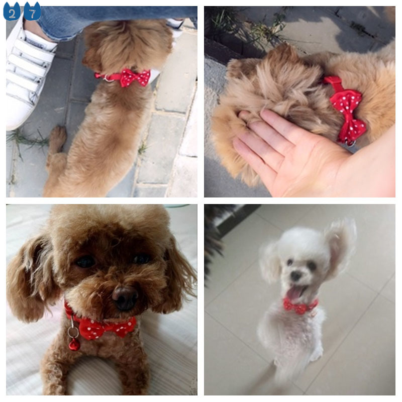 Vòng Cổ Nylon Đính Nơ Có Chuông Dễ Thương Có Thể Điều Chỉnh Màu Kẹo Ngọt Thời Trang Cho Thú Cưng 27 Cái