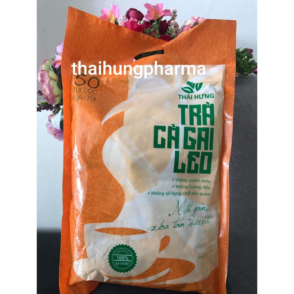 Trà Túi Lọc Cà Gai Leo Thái Hưng Xóa Tan Hết Mụn Nhọt Mần Ngứa 50 Túi Lọc 250g (CHÍNH HÃNG - ẢNH THẬT)