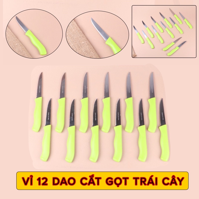 VỈ 12 DAO INOX CÁN NHỰA CẮT TỈA GỌT TRÁI CÂY