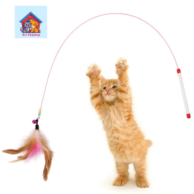 Đồ chơi cho mèo. Cần câu mèo lông vũ - 2 Con Mèo Petshop