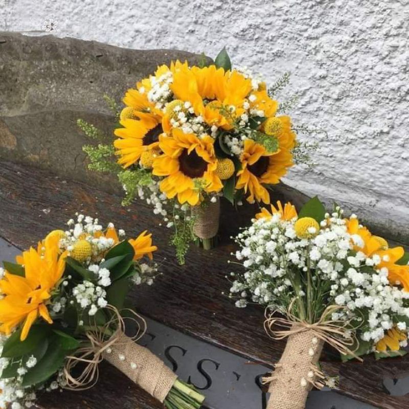 Hoa cô dâu , hoa 🌻