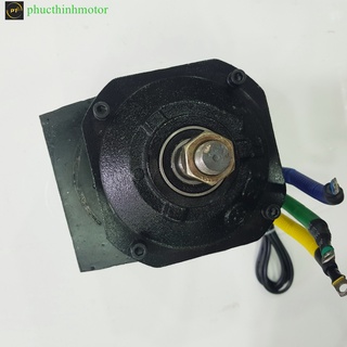 Motor 48v60v1000w BLDC
