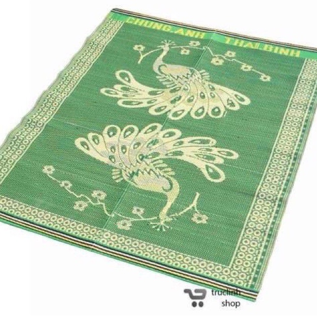 Chiếu Nhựa Việt Nam 1m6x2m.