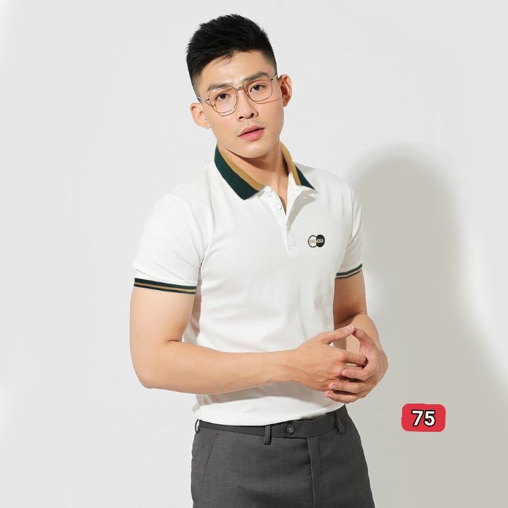 Áo thun nam có cổ đẹp, áo polo nam màu trắng thêu logo thêu chữ đẹp phong cách thời trang nam 2021 Muradfashion atn75 | BigBuy360 - bigbuy360.vn