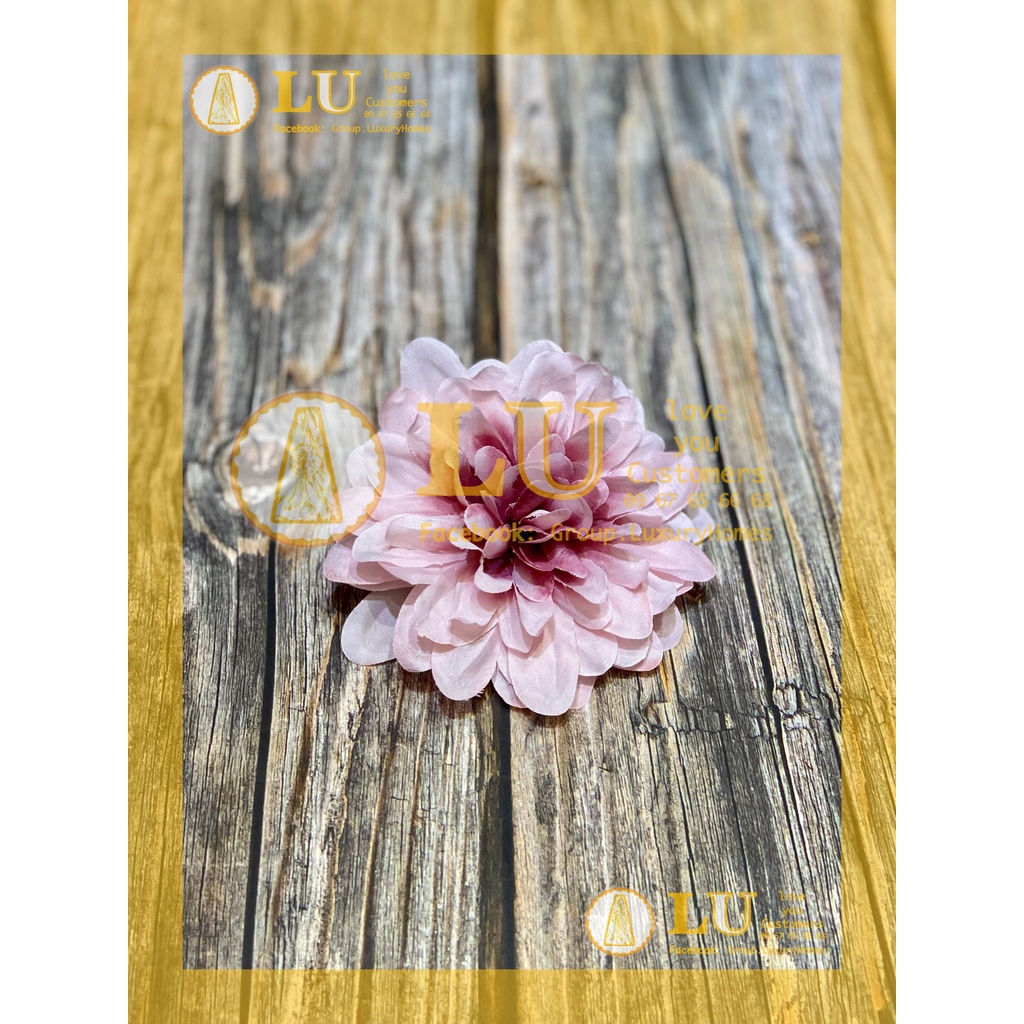 Đầu hoa Thược dược nhỡ | LU