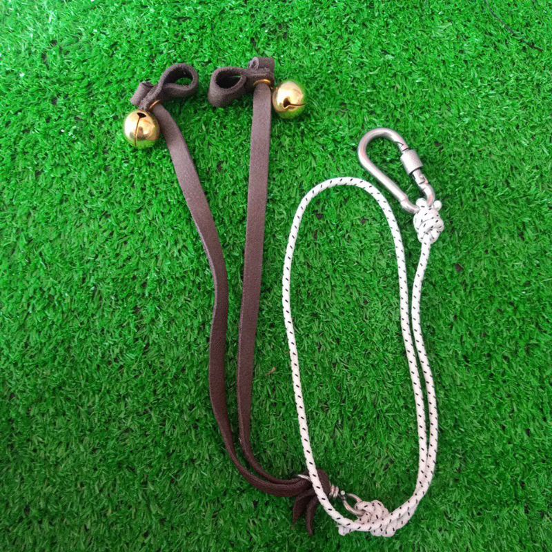 Bộ dây chân 1 lớp cho chim săn mồi trung bình