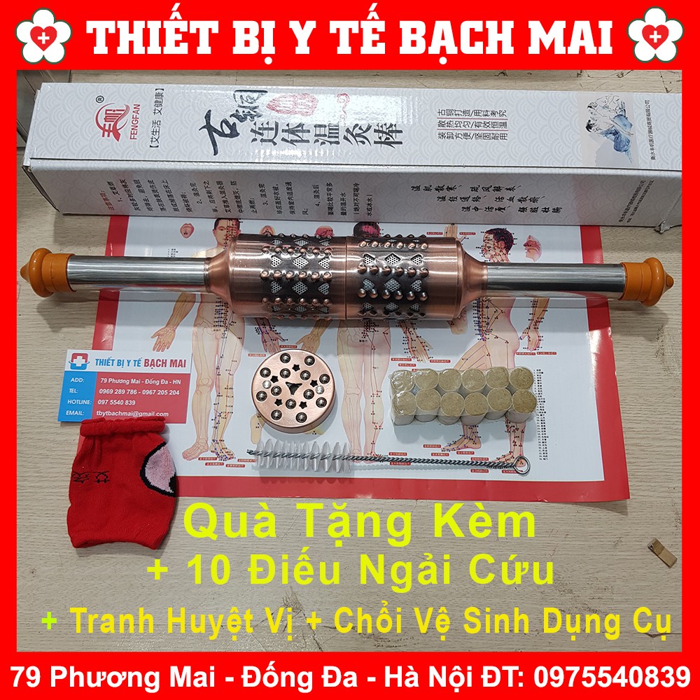 Cây Lăn Ngải Đồng Đôi , Đơn Giảm Béo Siêu Tốc + Tặng 10 Điếu Ngải + Chổi Vệ Sinh