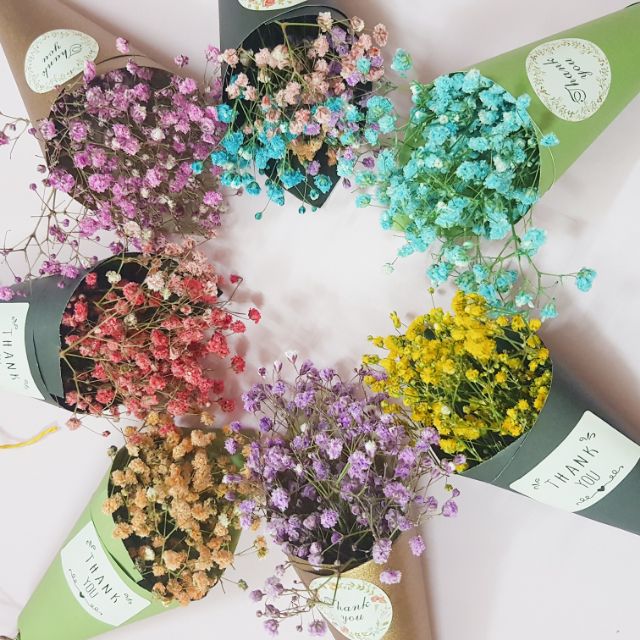 bó hoa khô dài 17cm. | Shopee Việt Nam